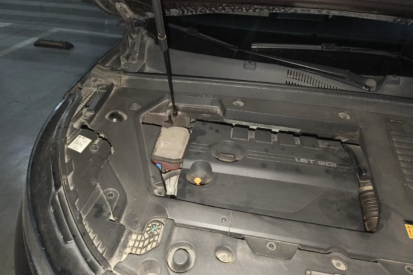 2019 Exceed TX 1.6T 197HP L4 7DCT,autocango,china used car exporter,china ev exporter,chinese used car exporter,chinese used ev exporter