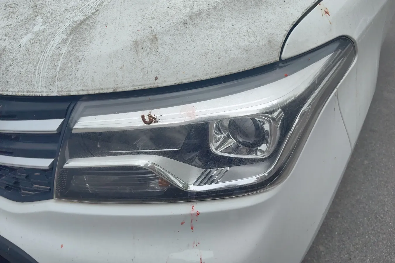 2019 ChangAn Kaicene Honor S 1.5L 107HP L4 5MT,autocango,china used car exporter,china ev exporter,chinese used car exporter,chinese used ev exporter