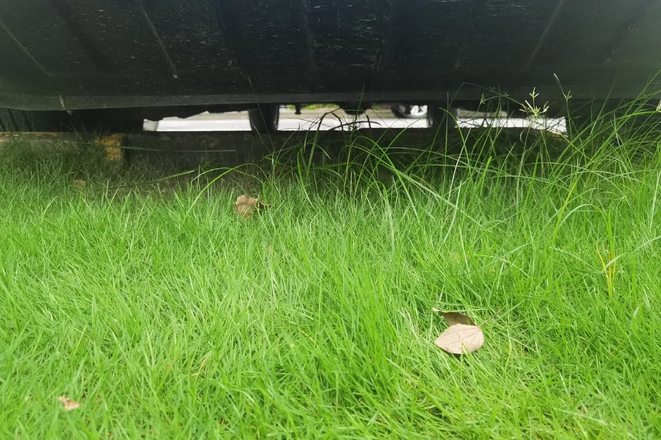 2009 Mercedes-Benz Sprinter 3.5L 258HP V6 5AT,autocango,china used car exporter,china ev exporter,chinese used car exporter,chinese used ev exporter