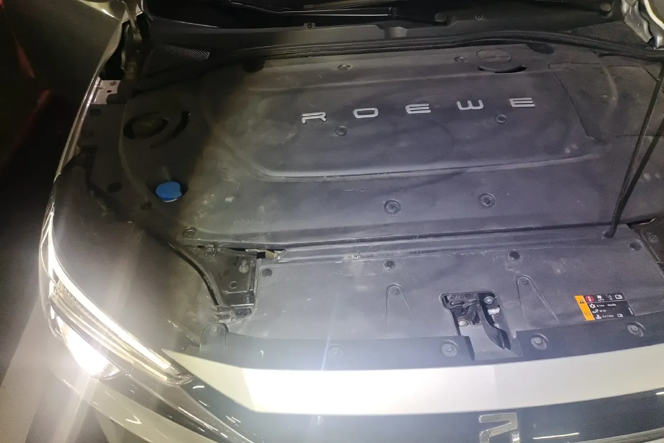 2020 Rising Auto ER6 BEV 69.9KWH,autocango,china used car exporter,china ev exporter,chinese used car exporter,chinese used ev exporter