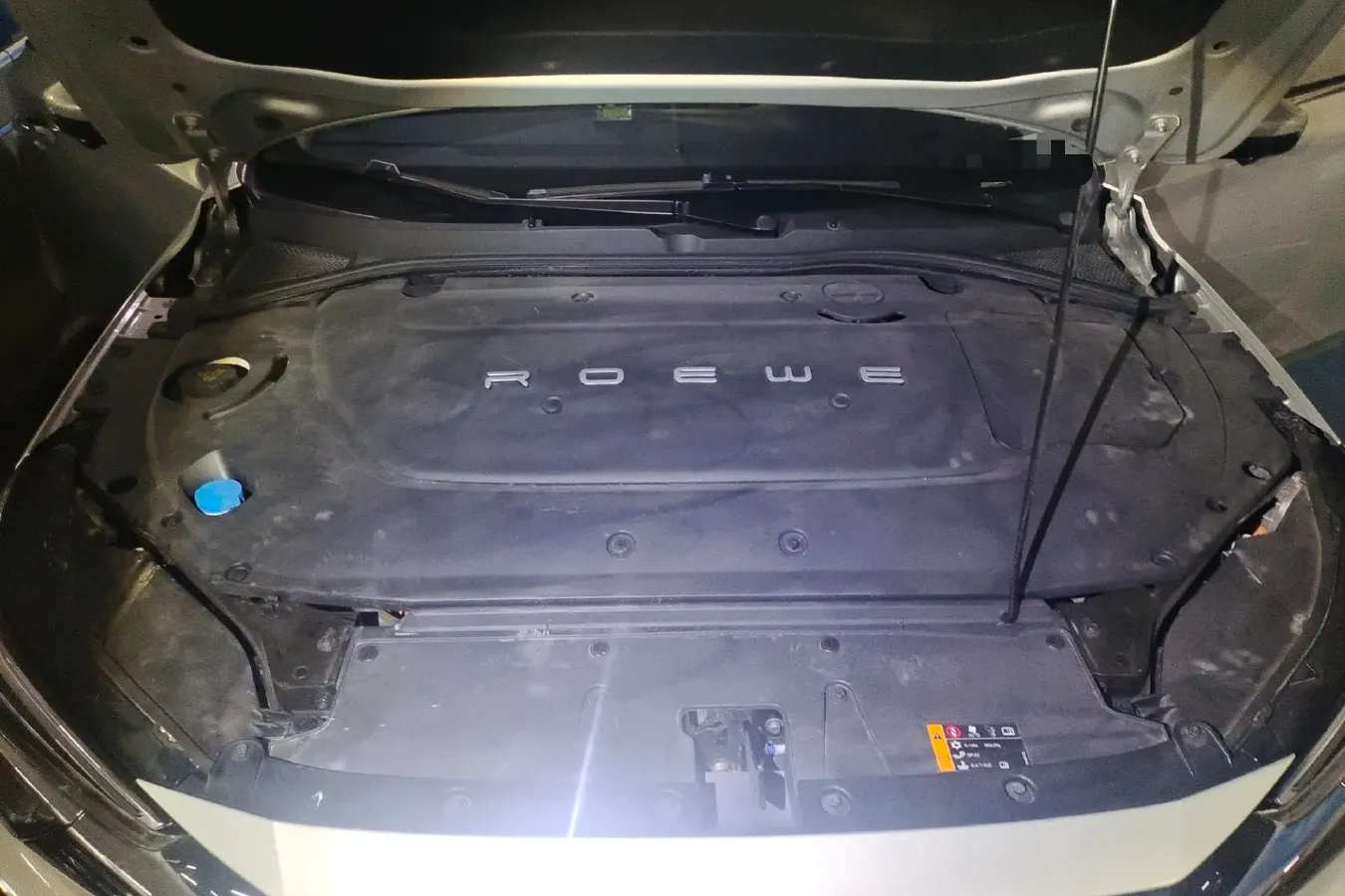 2020 Rising Auto ER6 BEV 69.9KWH,autocango,china used car exporter,china ev exporter,chinese used car exporter,chinese used ev exporter