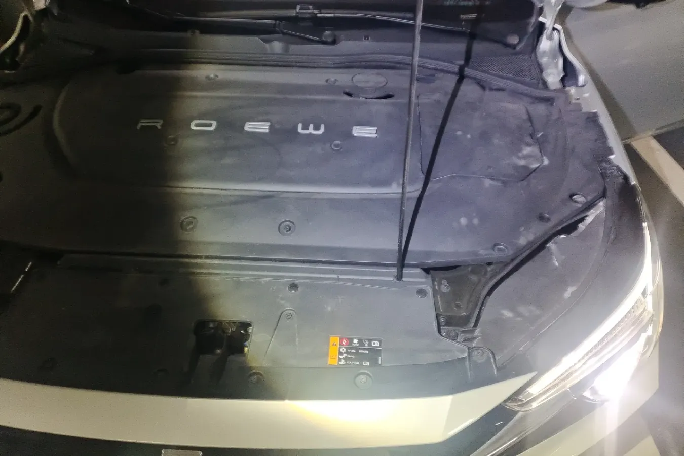 2020 Rising Auto ER6 BEV 69.9KWH,autocango,china used car exporter,china ev exporter,chinese used car exporter,chinese used ev exporter