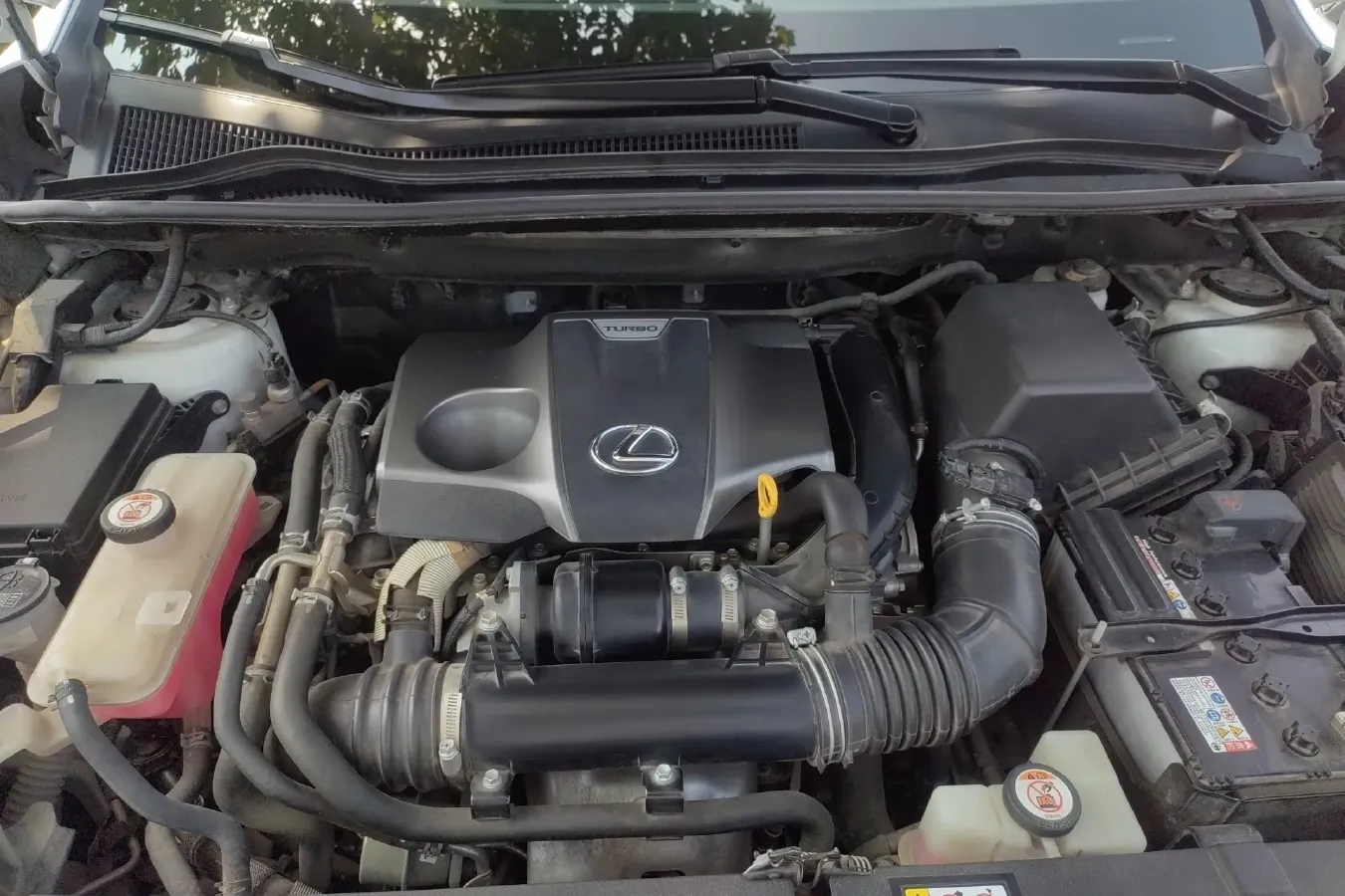 2018 Lexus NX 2.0T 238HP L4 6AT,autocango,china used car exporter,china ev exporter,chinese used car exporter,chinese used ev exporter