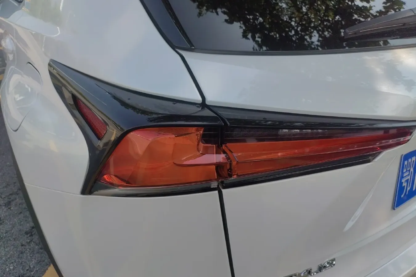 2018 Lexus NX 2.0T 238HP L4 6AT,autocango,china used car exporter,china ev exporter,chinese used car exporter,chinese used ev exporter