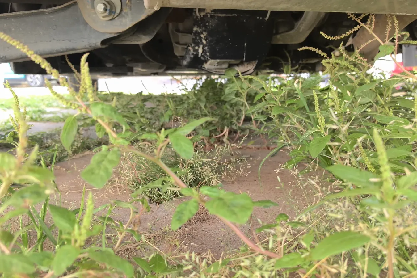 2019 DongFeng Fengon Fengon E3 Range Extended 84HP REEV 17.28KWH,autocango,china used car exporter,china ev exporter,chinese used car exporter,chinese used ev exporter