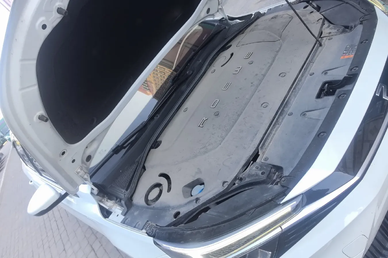 2020 Rising Auto ER6 BEV 69.9KWH,autocango,china used car exporter,china ev exporter,chinese used car exporter,chinese used ev exporter