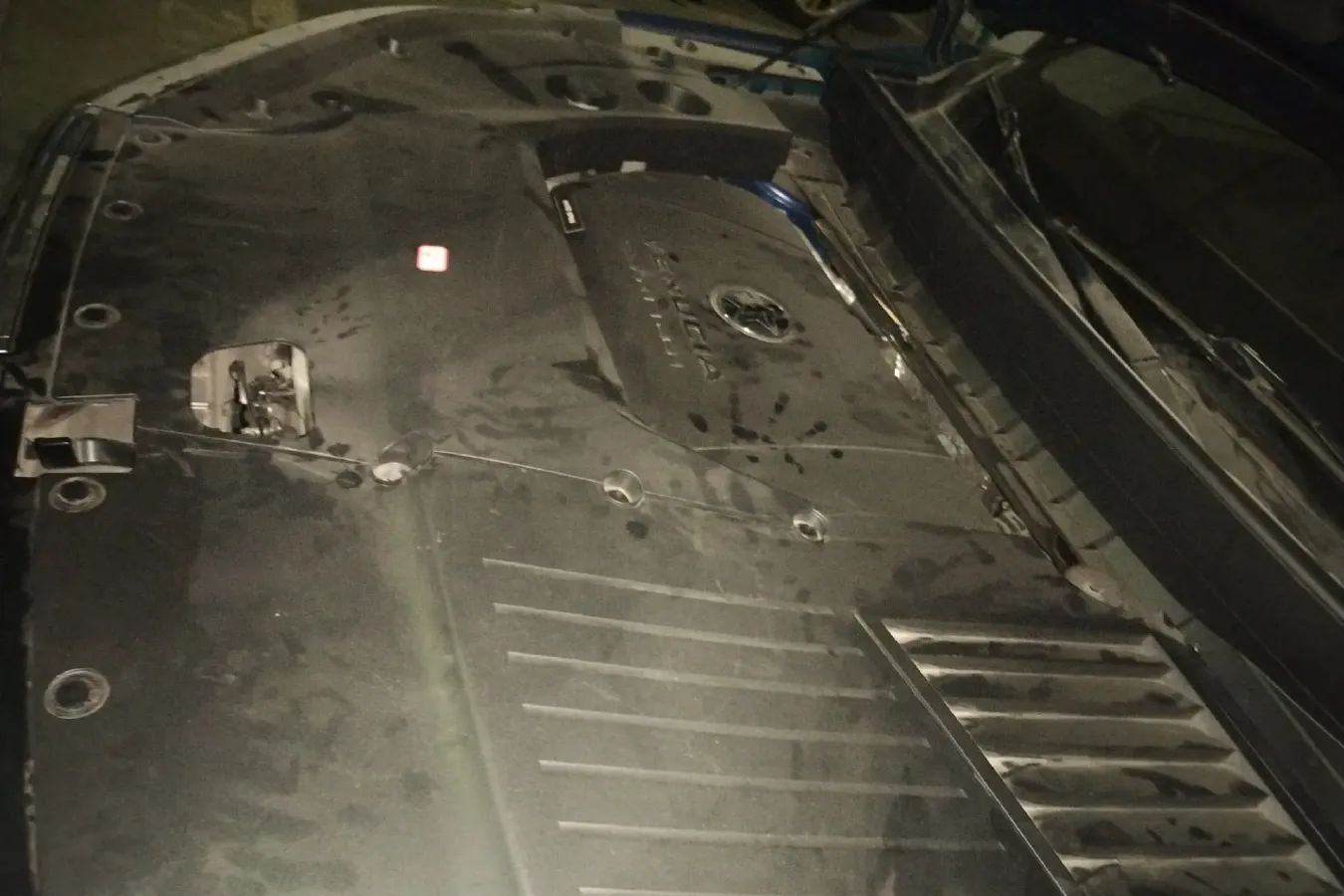 2020 Venucia Star 1.5T 190HP L4 7DCT,autocango,china used car exporter,china ev exporter,chinese used car exporter,chinese used ev exporter