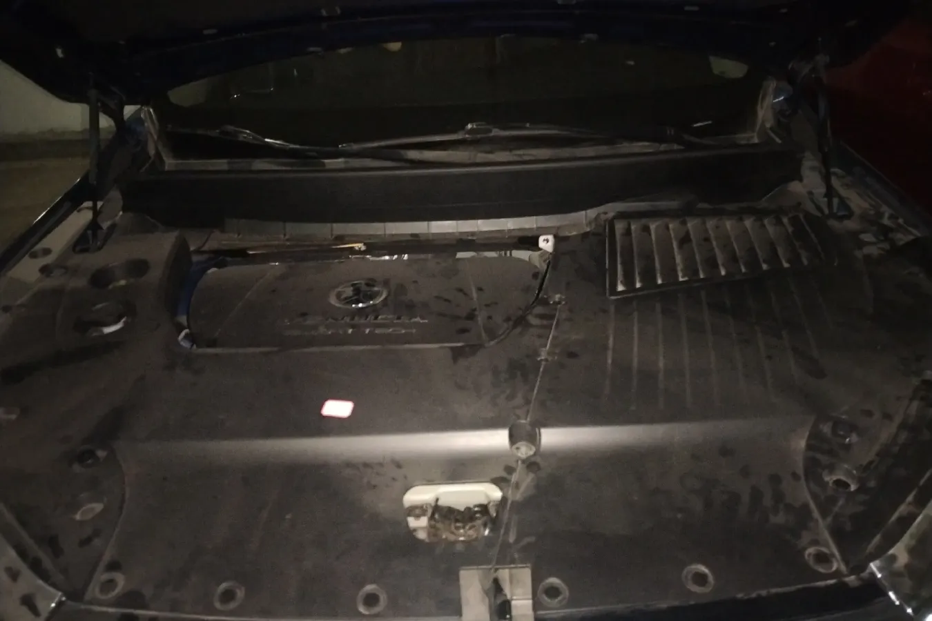 2020 Venucia Star 1.5T 190HP L4 7DCT,autocango,china used car exporter,china ev exporter,chinese used car exporter,chinese used ev exporter