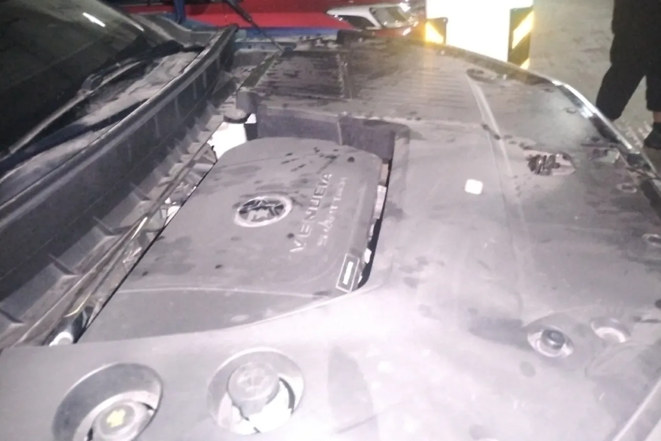 2020 Venucia Star 1.5T 190HP L4 7DCT,autocango,china used car exporter,china ev exporter,chinese used car exporter,chinese used ev exporter