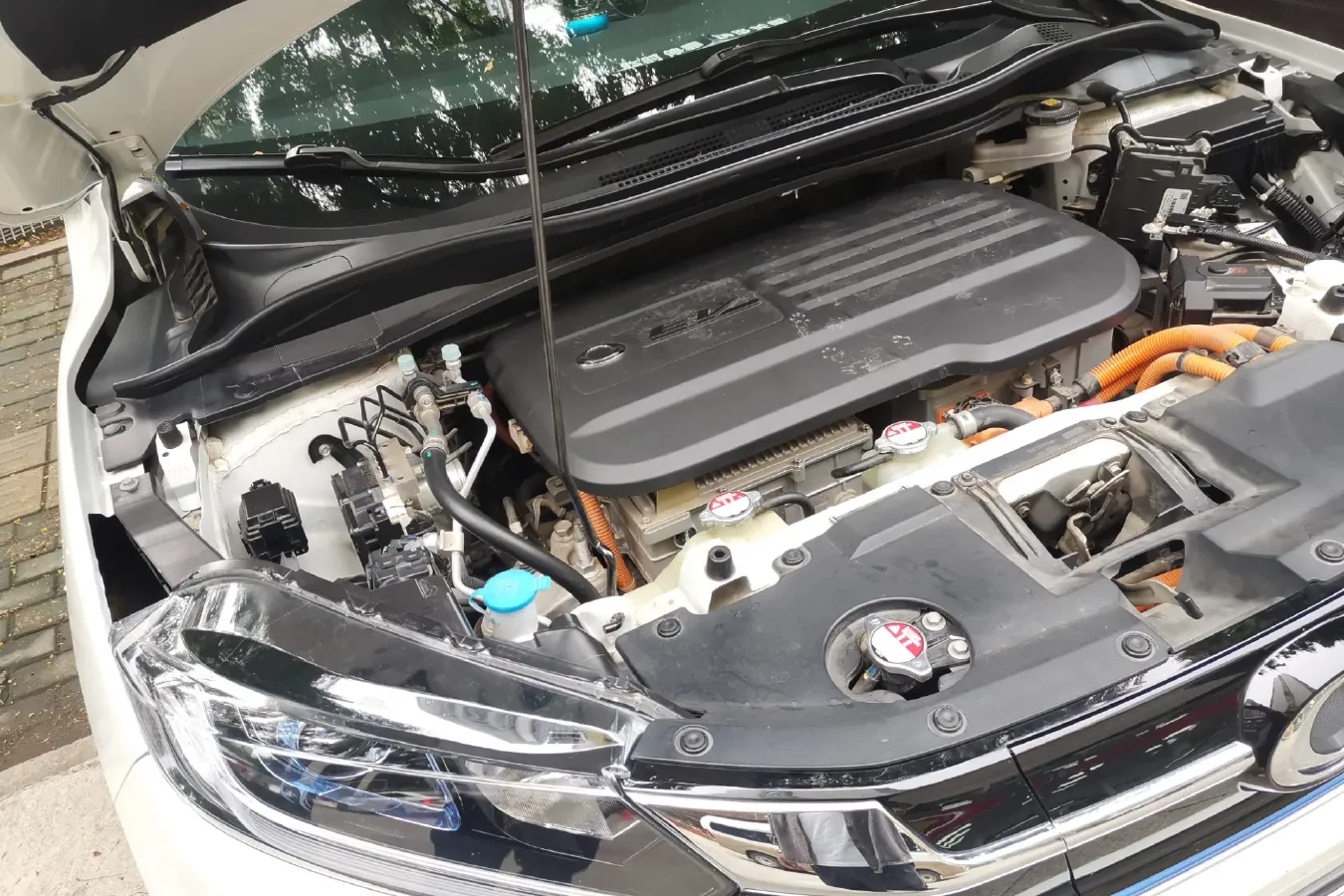 2020 Ciimo X-NV BEV 53.6KWH,autocango,china used car exporter,china ev exporter,chinese used car exporter,chinese used ev exporter