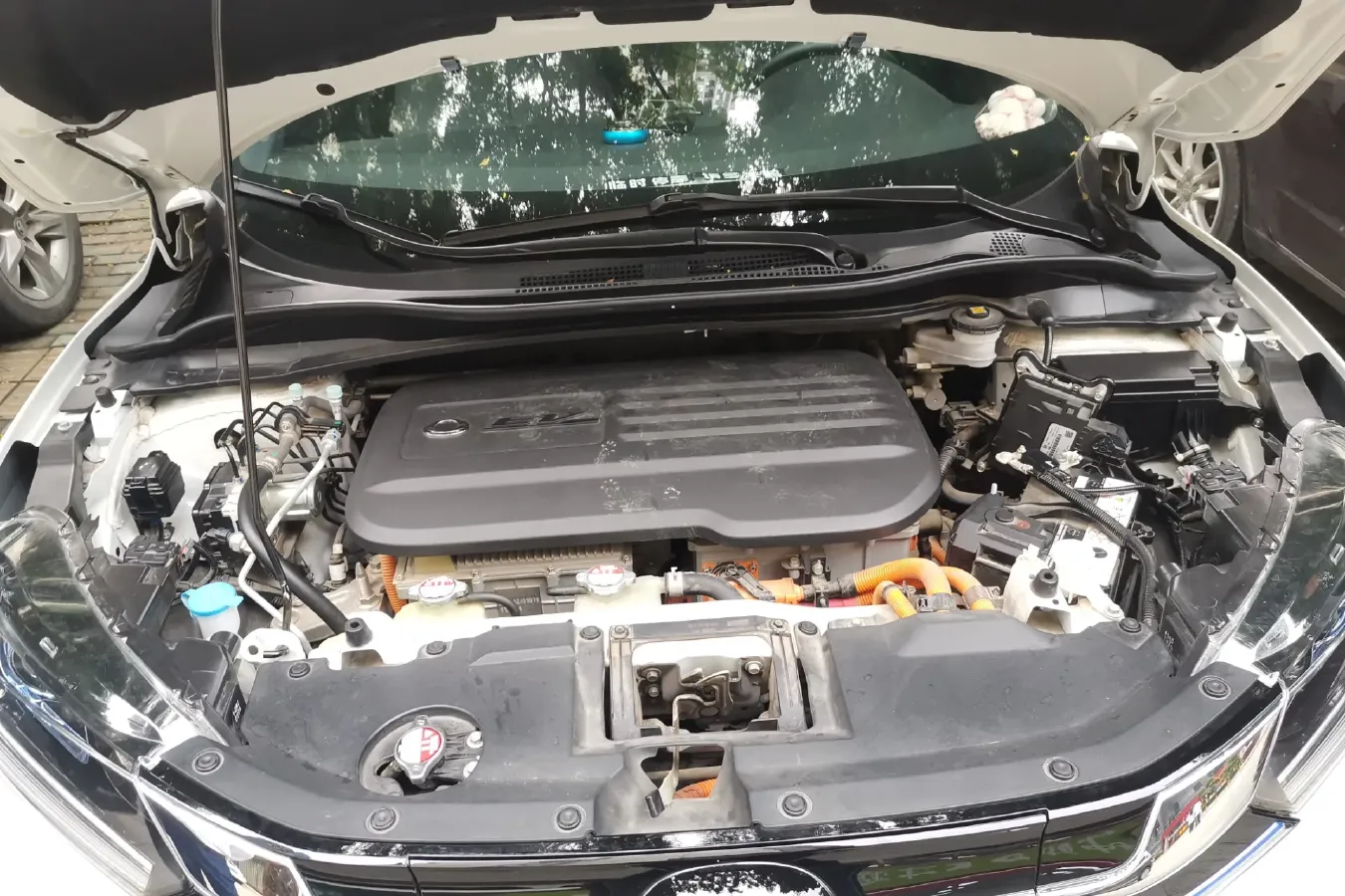 2020 Ciimo X-NV BEV 53.6KWH,autocango,china used car exporter,china ev exporter,chinese used car exporter,chinese used ev exporter