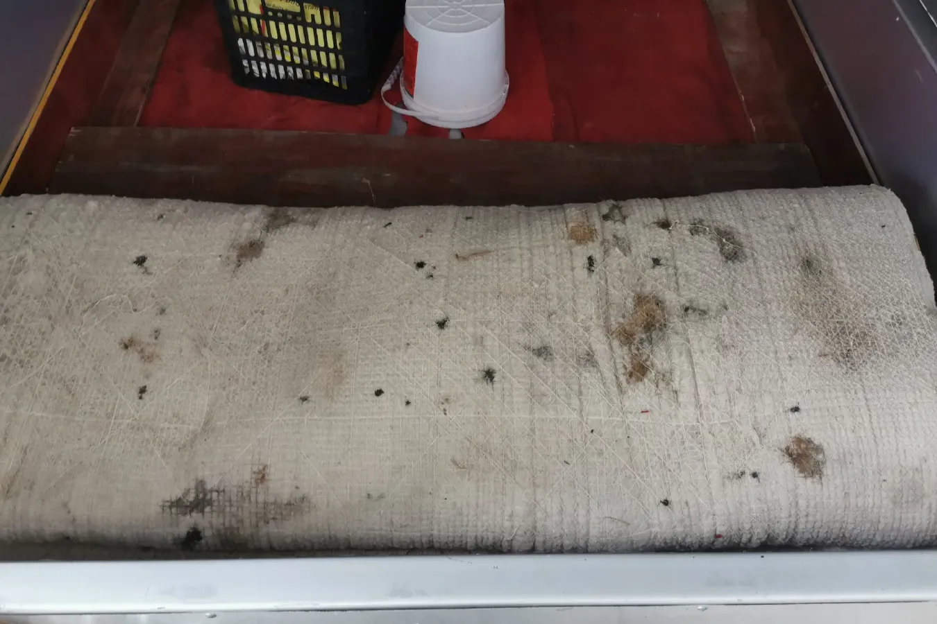 2021 ChangAn KuaYue New Leopard T3 1.6L 122HP L4 5MT,autocango,china used car exporter,china ev exporter,chinese used car exporter,chinese used ev exporter