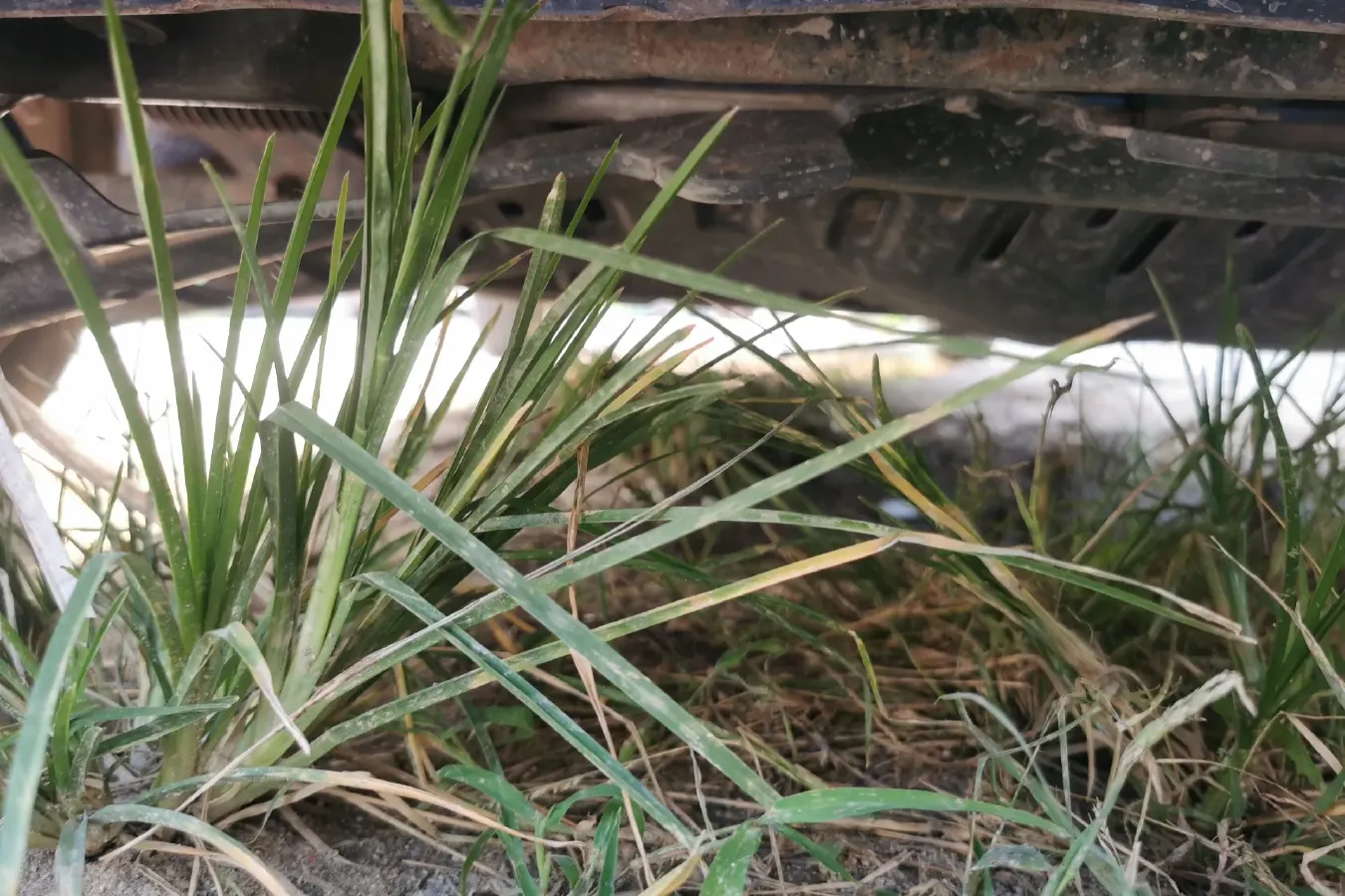 2016 BAIC Hyosow H2 1.5L 106HP L4 5MT,autocango,china used car exporter,china ev exporter,chinese used car exporter,chinese used ev exporter