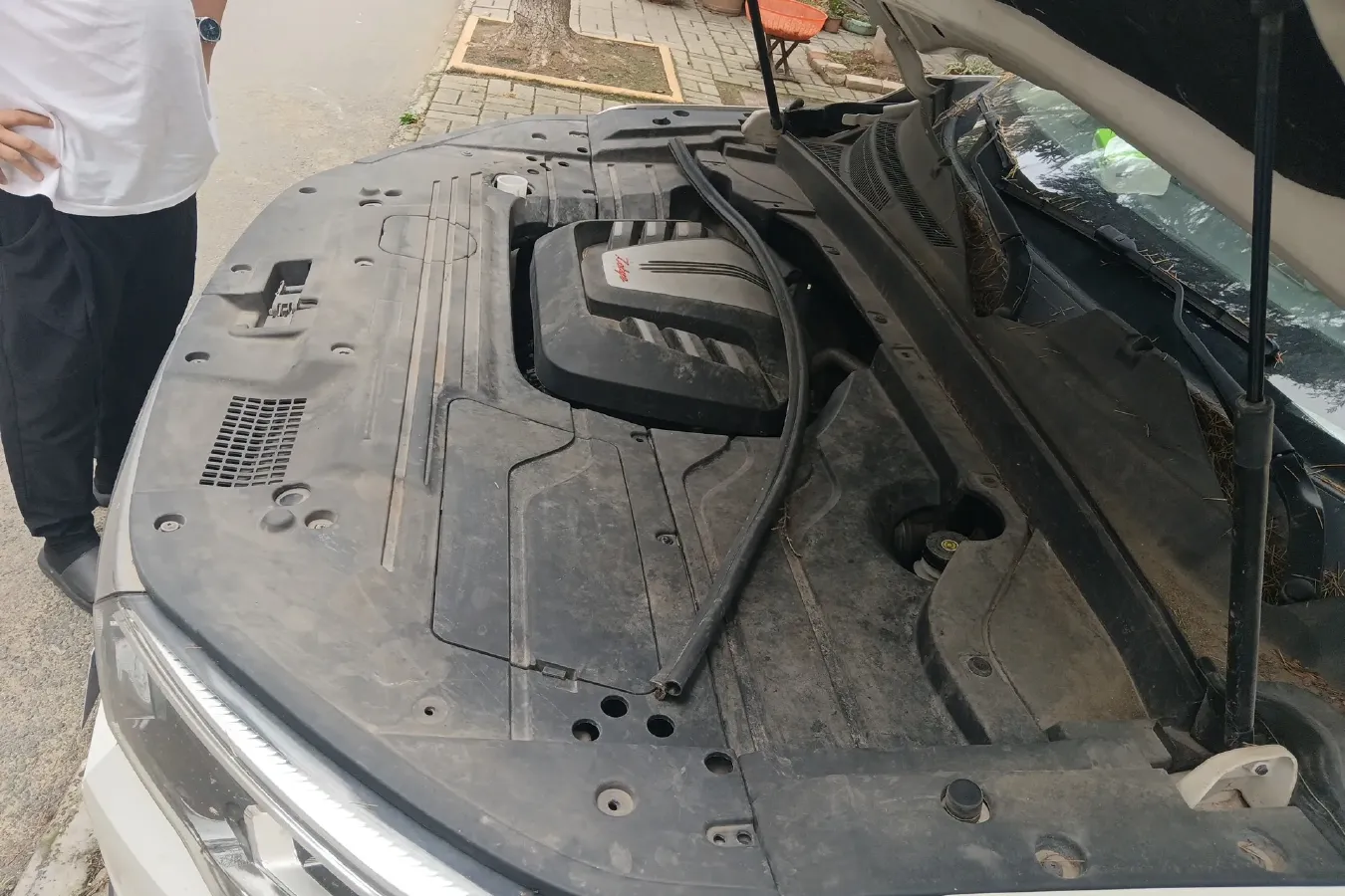 2018 Zotye T500 1.5T 156HP L4 5MT,autocango,china used car exporter,china ev exporter,chinese used car exporter,chinese used ev exporter