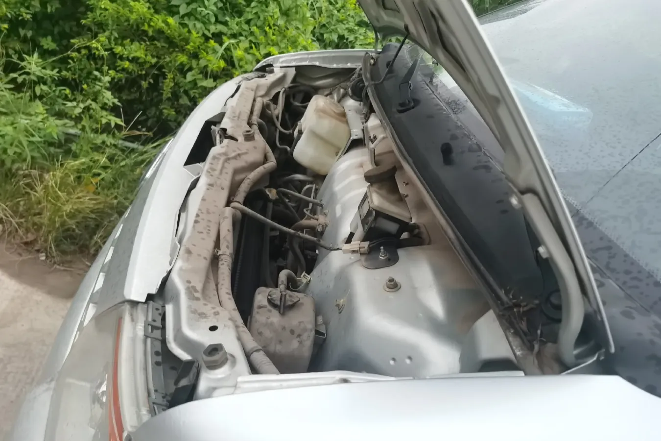 2019 ChangAn Kaicene ShenQi T20 1.5L 116HP L4 5MT,autocango,china used car exporter,china ev exporter,chinese used car exporter,chinese used ev exporter