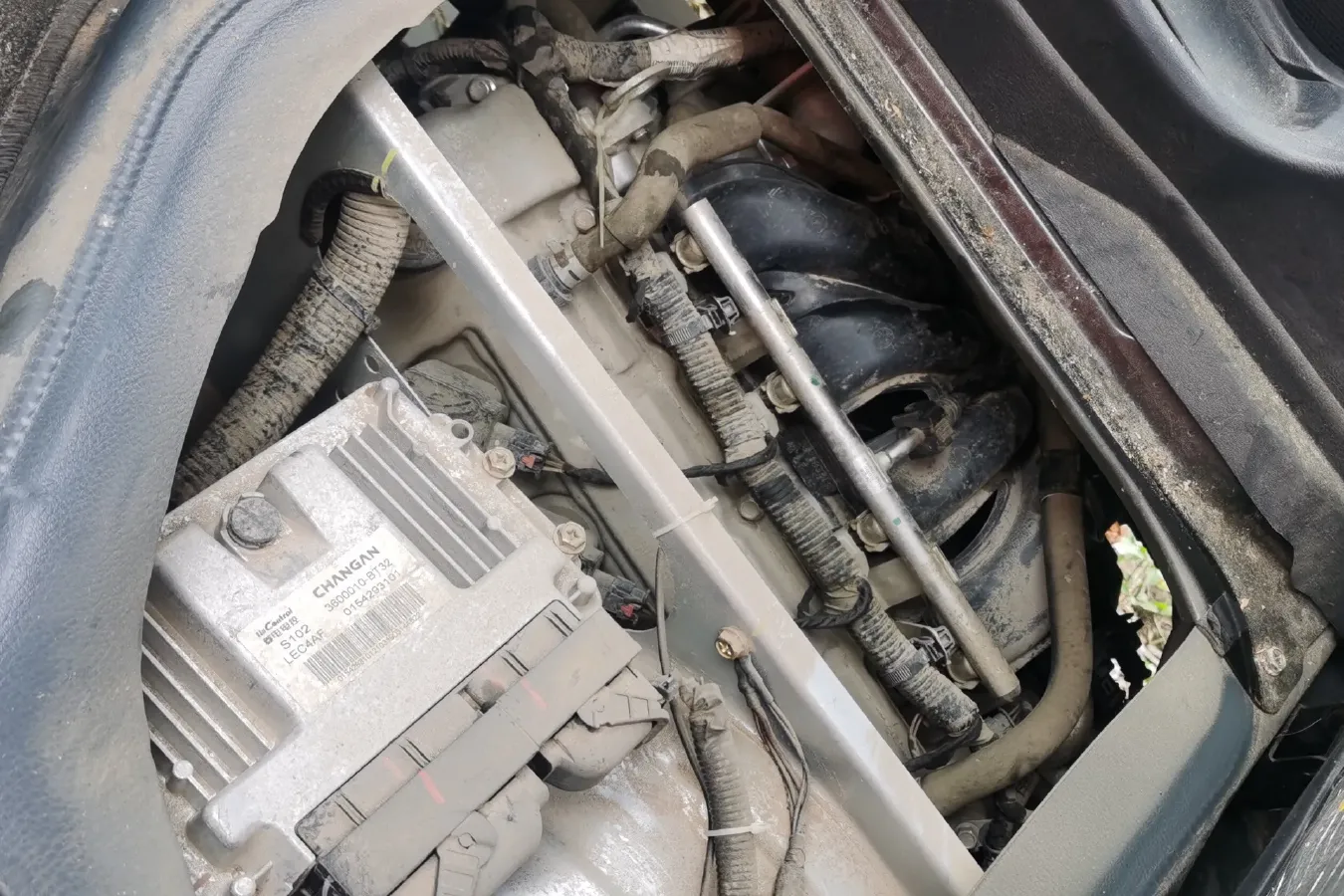 2021 ChangAn Kaicene ShenQi T20 1.5L 116HP L4 5MT,autocango,china used car exporter,china ev exporter,chinese used car exporter,chinese used ev exporter