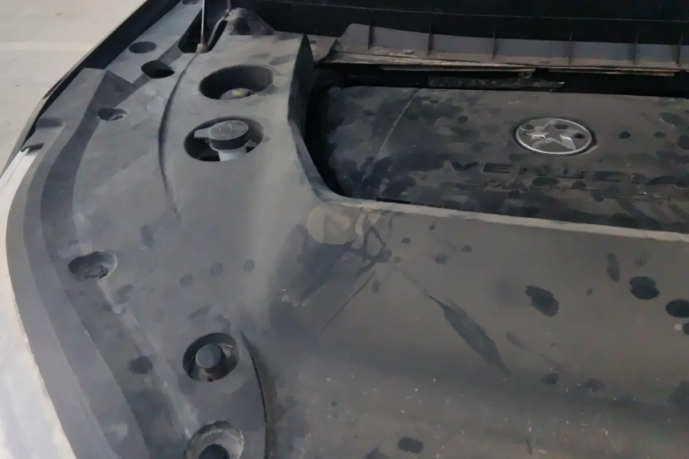 2020 Venucia Star 1.5T 190HP L4 7DCT,autocango,china used car exporter,china ev exporter,chinese used car exporter,chinese used ev exporter