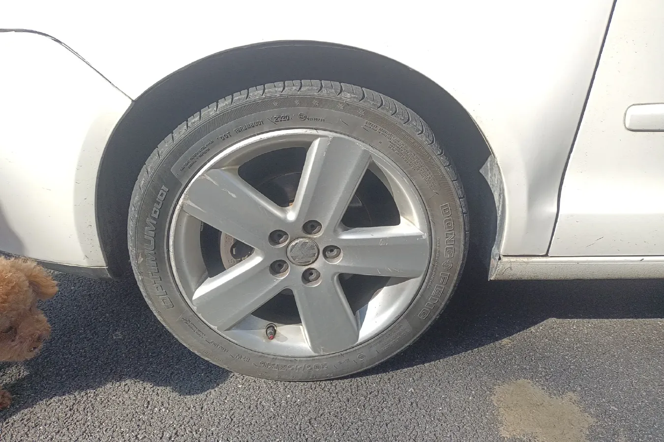 2009 Volkswagen Polo 1.6L 105HP L4 5MT,autocango,china used car exporter,china ev exporter,chinese used car exporter,chinese used ev exporter