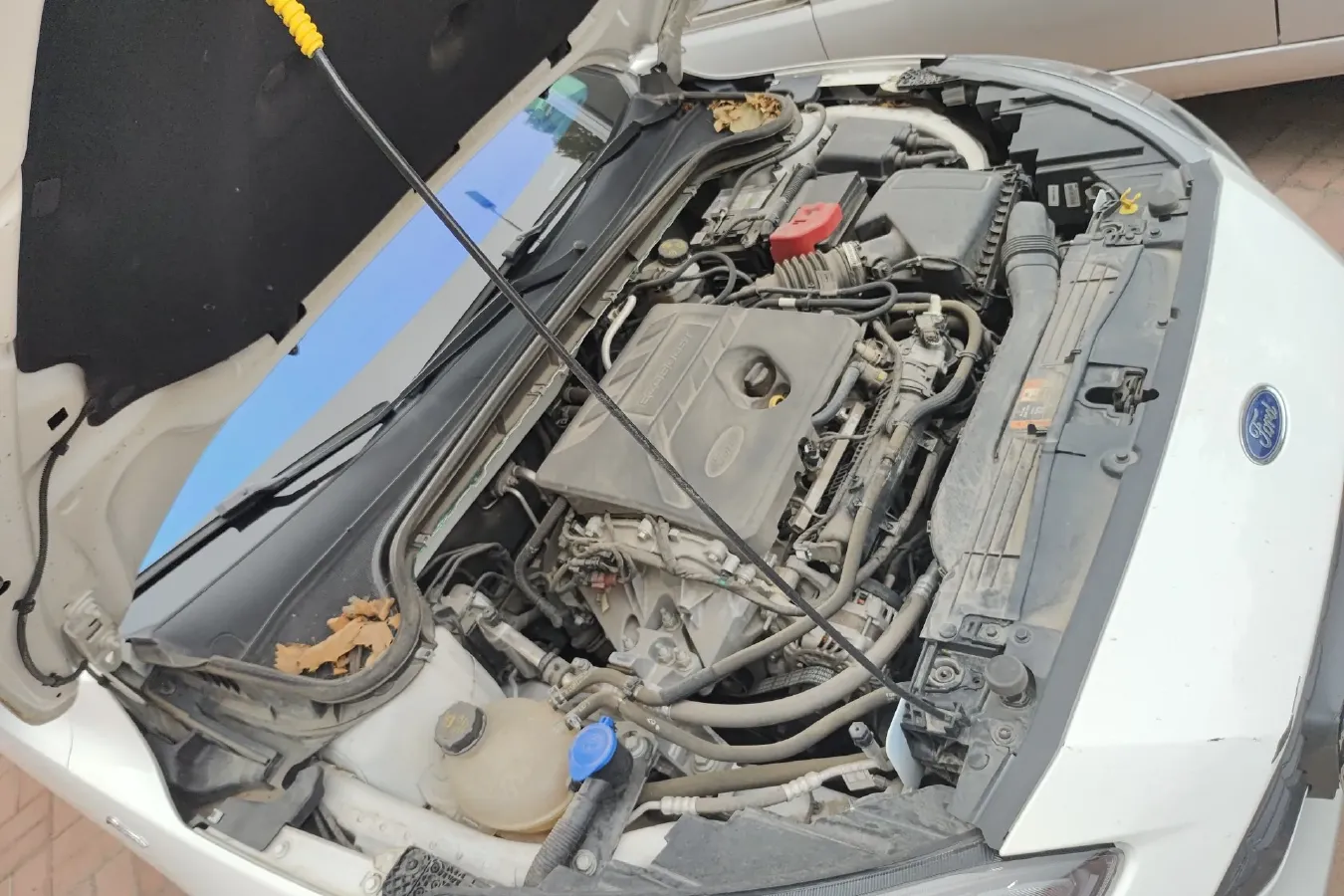 2021 Ford Focus Active 1.5T 174HP L3 8AT,autocango,china used car exporter,china ev exporter,chinese used car exporter,chinese used ev exporter