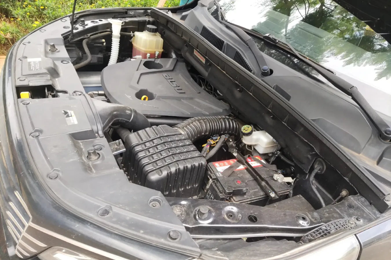 2017 BiSu T5 1.5T 150HP L4 6MT,autocango,china used car exporter,china ev exporter,chinese used car exporter,chinese used ev exporter