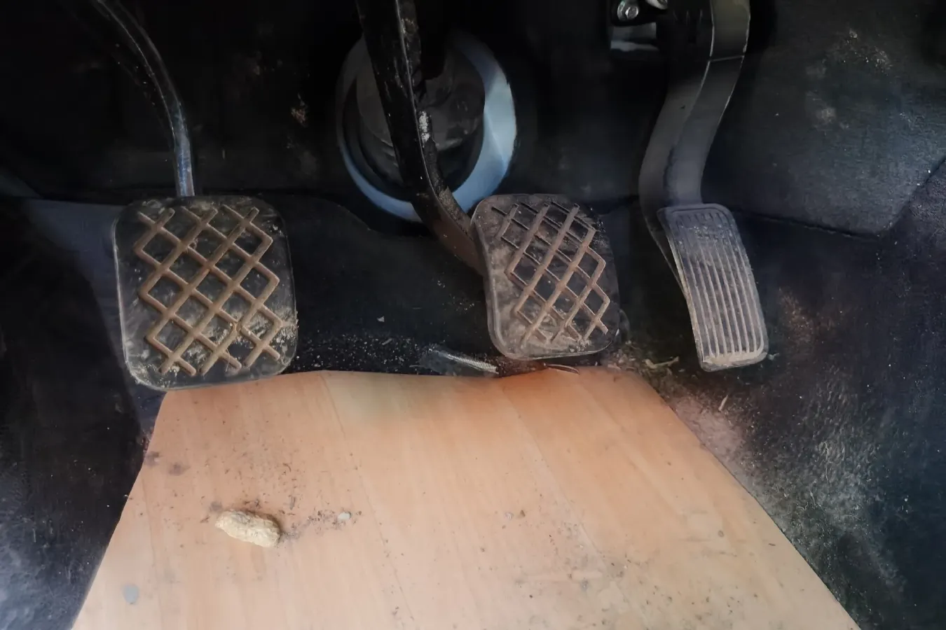 2021 JinBei Golden Sea Lion 1.5L 112HP L4 5MT,autocango,china used car exporter,china ev exporter,chinese used car exporter,chinese used ev exporter