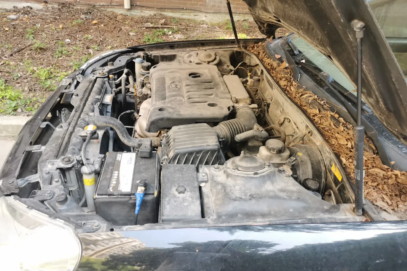 2009 Hyundai MoInca 2.0L 137HP L4 5MT,autocango,china used car exporter,china ev exporter,chinese used car exporter,chinese used ev exporter