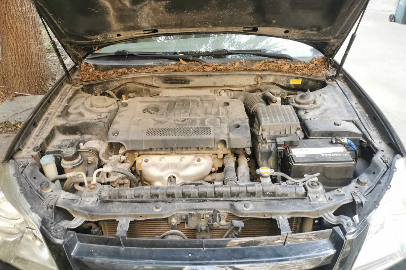 2009 Hyundai MoInca 2.0L 137HP L4 5MT,autocango,china used car exporter,china ev exporter,chinese used car exporter,chinese used ev exporter