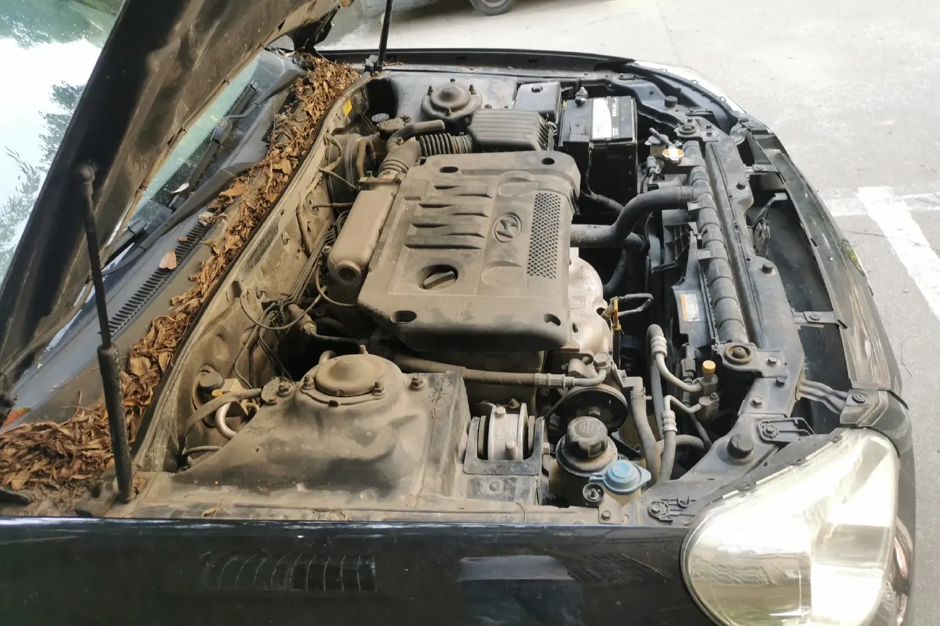 2009 Hyundai MoInca 2.0L 137HP L4 5MT,autocango,china used car exporter,china ev exporter,chinese used car exporter,chinese used ev exporter