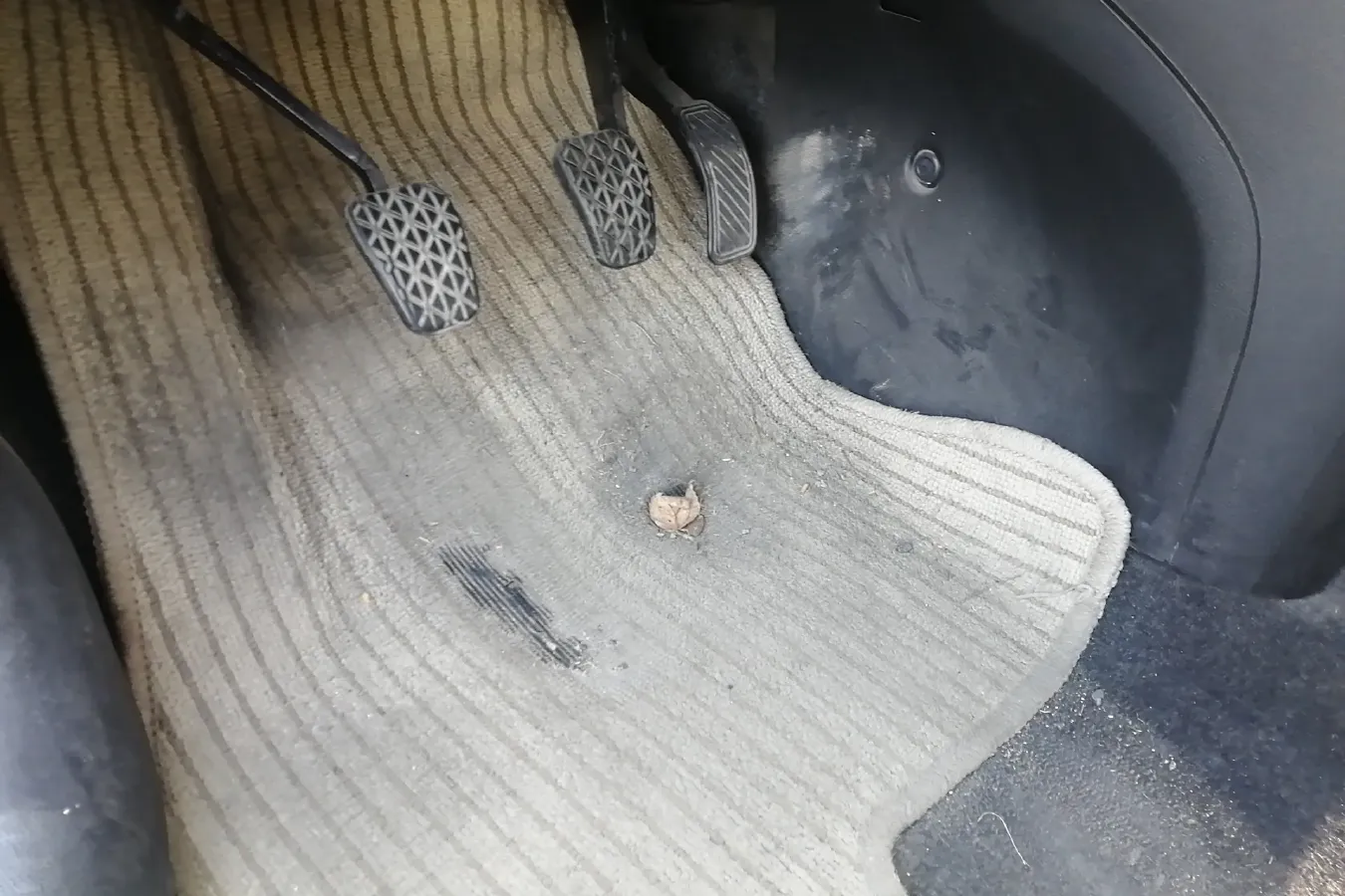 2009 Mazda 2 1.5L 103HP L4 5MT,autocango,china used car exporter,china ev exporter,chinese used car exporter,chinese used ev exporter