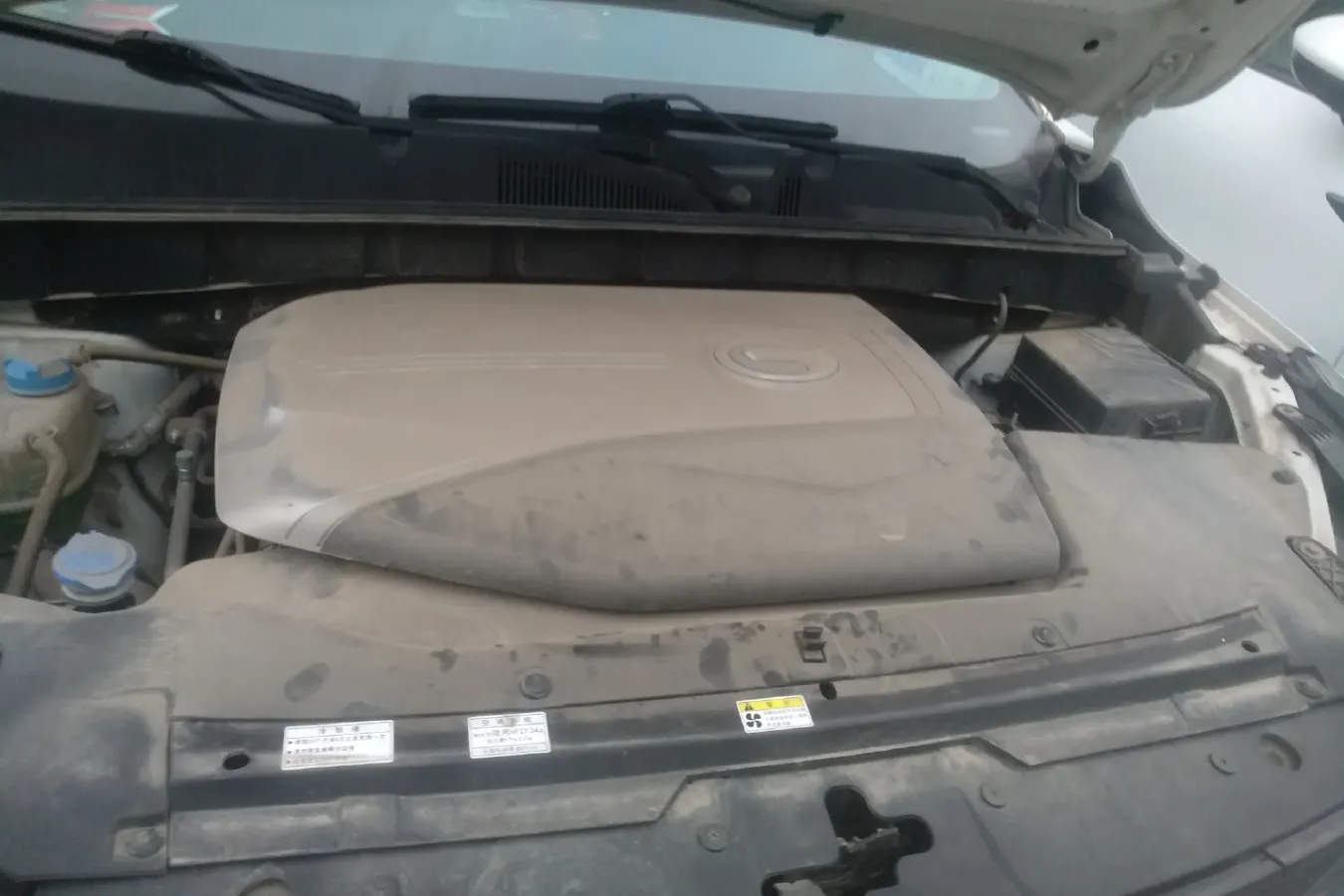 2019 GAC QiZhi EV BEV 54.75KWH,autocango,china used car exporter,china ev exporter,chinese used car exporter,chinese used ev exporter