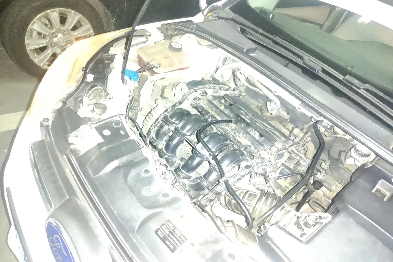 2012 Ford Focus 1.6L 125HP L4 5MT,autocango,china used car exporter,china ev exporter,chinese used car exporter,chinese used ev exporter