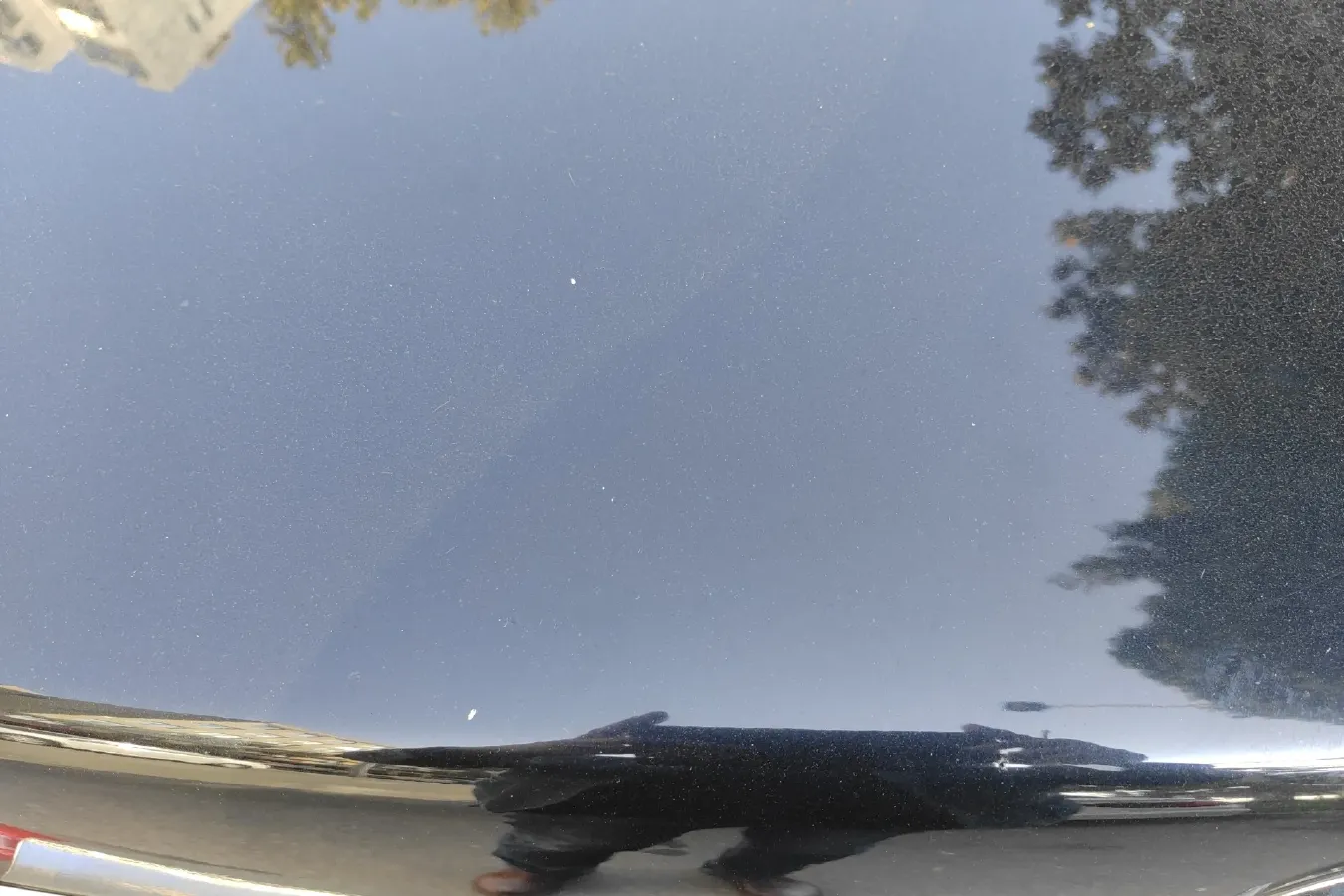 2012 Nissan Sylphy 1.6L 126HP L4 5MT,autocango,china used car exporter,china ev exporter,chinese used car exporter,chinese used ev exporter