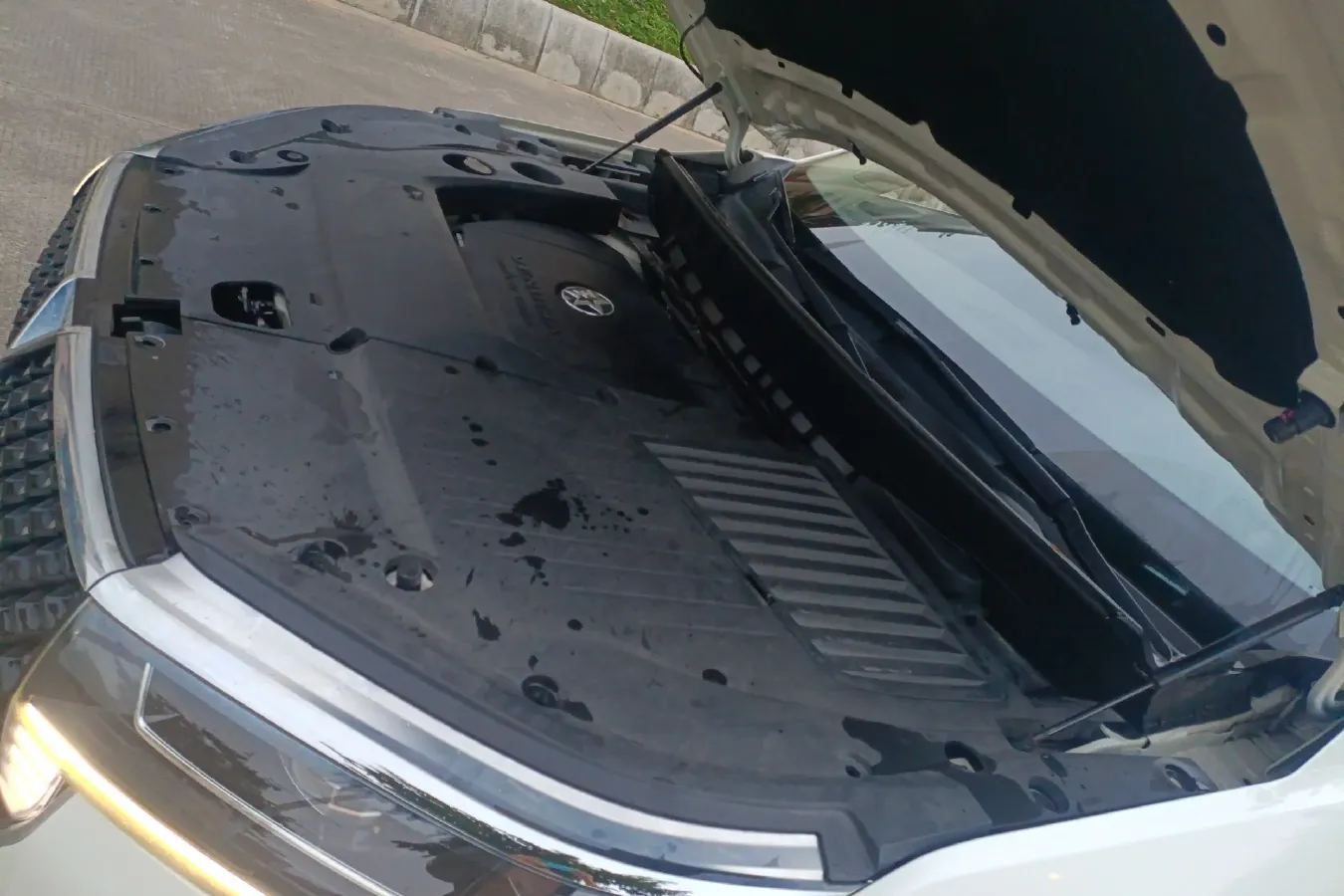 2020 Venucia Star 1.5T 190HP L4 7DCT,autocango,china used car exporter,china ev exporter,chinese used car exporter,chinese used ev exporter