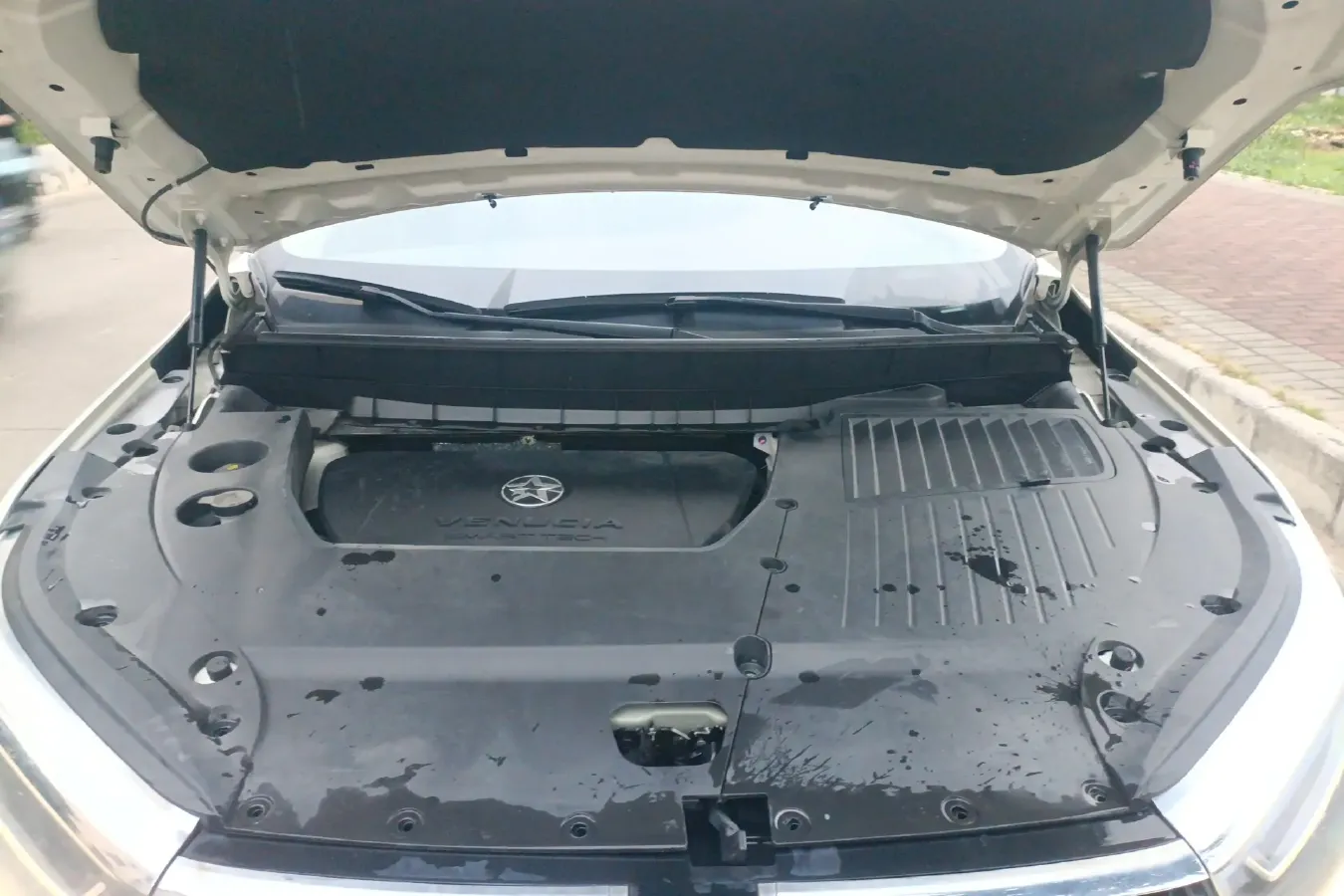 2020 Venucia Star 1.5T 190HP L4 7DCT,autocango,china used car exporter,china ev exporter,chinese used car exporter,chinese used ev exporter