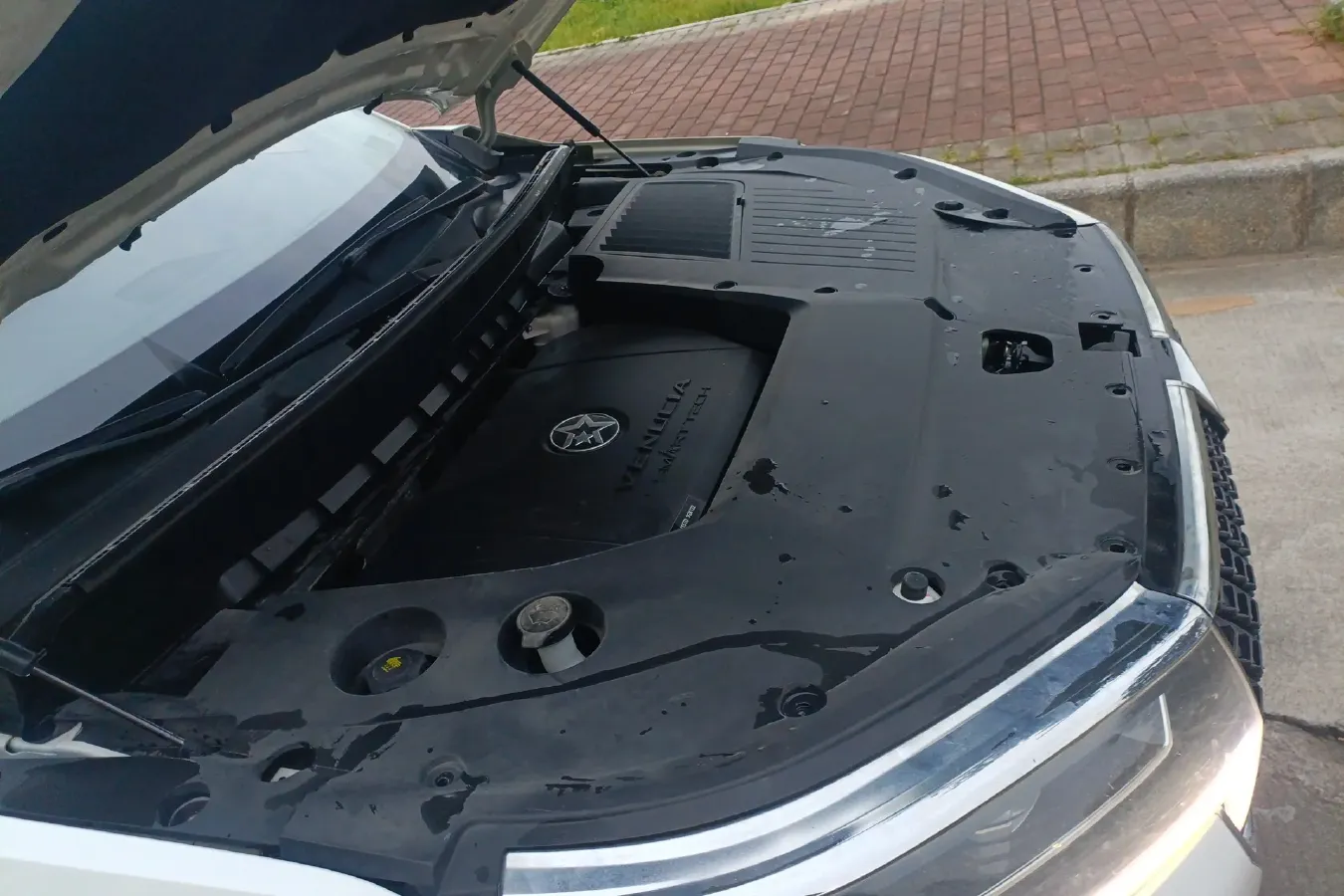 2020 Venucia Star 1.5T 190HP L4 7DCT,autocango,china used car exporter,china ev exporter,chinese used car exporter,chinese used ev exporter