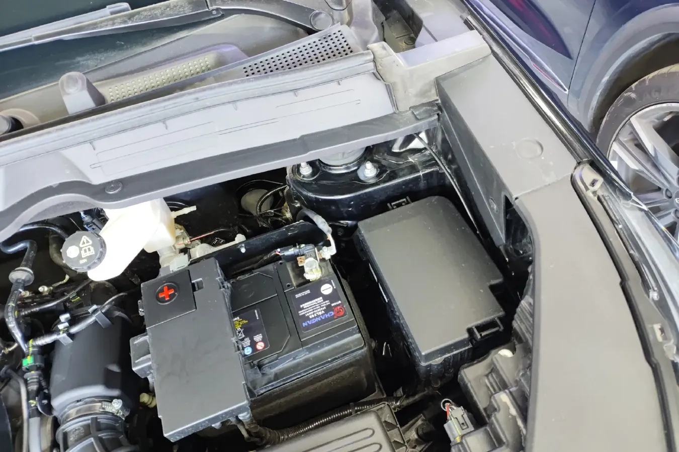 2022 ChangAn CS55 Plus 1.5T 188HP L4 7DCT,autocango,china used car exporter,china ev exporter,chinese used car exporter,chinese used ev exporter