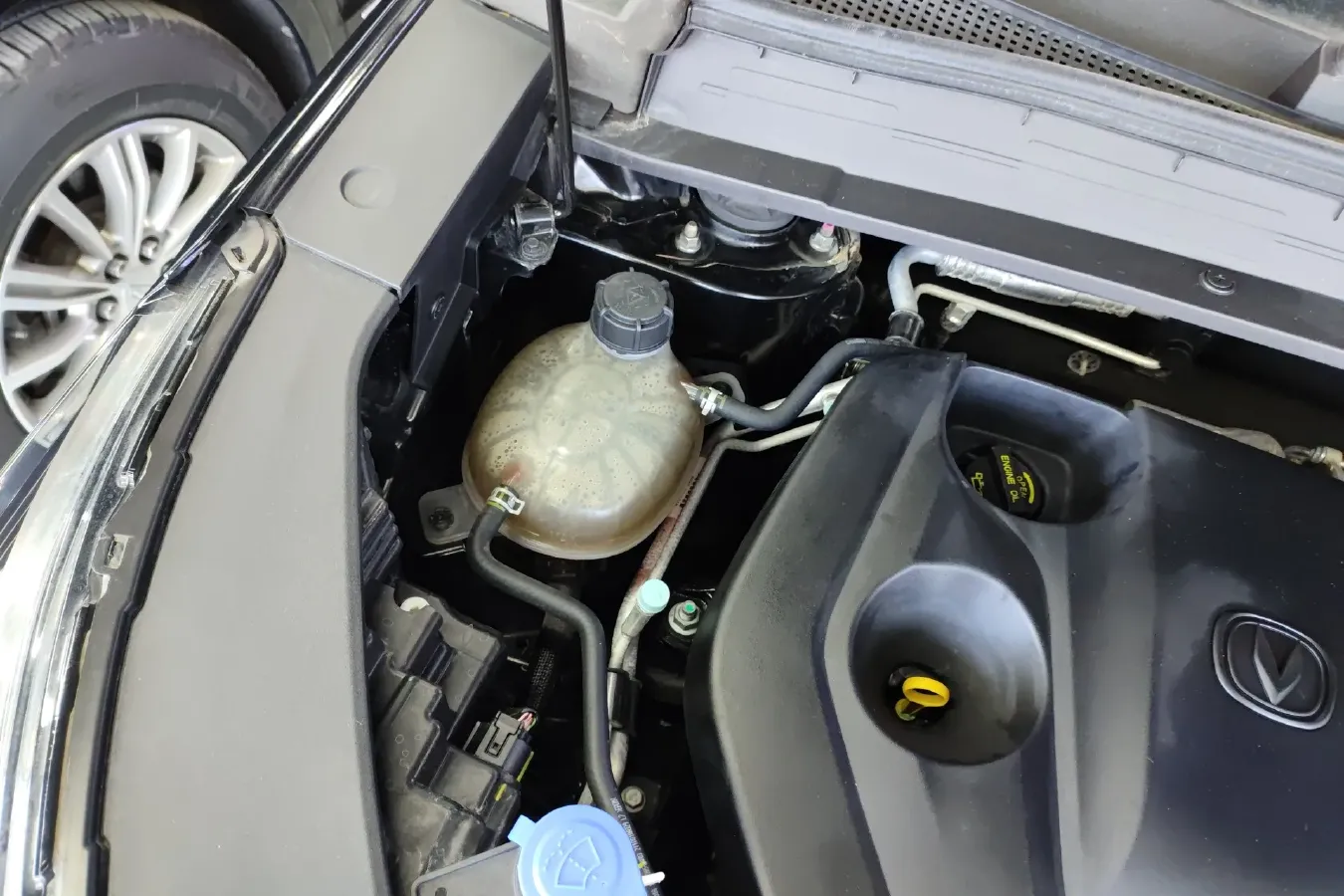 2022 ChangAn CS55 Plus 1.5T 188HP L4 7DCT,autocango,china used car exporter,china ev exporter,chinese used car exporter,chinese used ev exporter