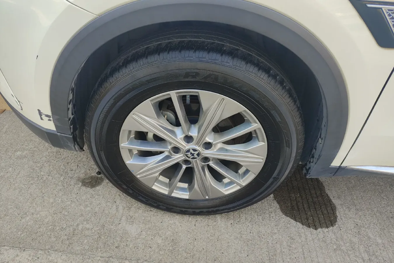 2020 Venucia Star 1.5T 190HP L4 7DCT,autocango,china used car exporter,china ev exporter,chinese used car exporter,chinese used ev exporter