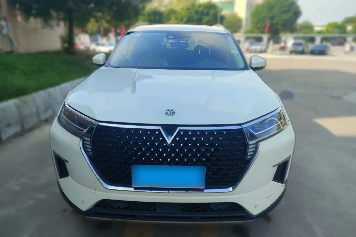 2020 Venucia Star 1.5T 190HP L4 7DCT,autocango,china used car exporter,china ev exporter,chinese used car exporter,chinese used ev exporter