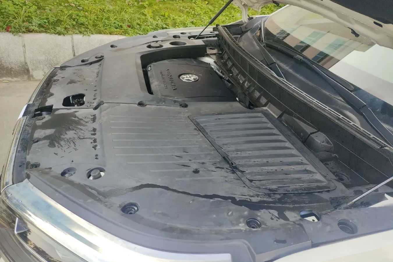 2020 Venucia Star 1.5T 190HP L4 7DCT,autocango,china used car exporter,china ev exporter,chinese used car exporter,chinese used ev exporter