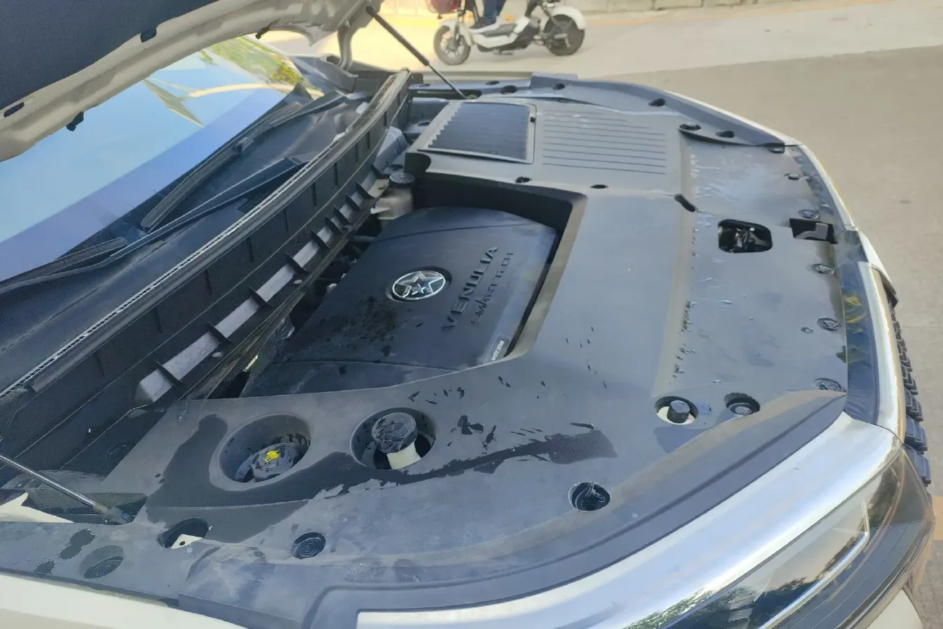 2020 Venucia Star 1.5T 190HP L4 7DCT,autocango,china used car exporter,china ev exporter,chinese used car exporter,chinese used ev exporter