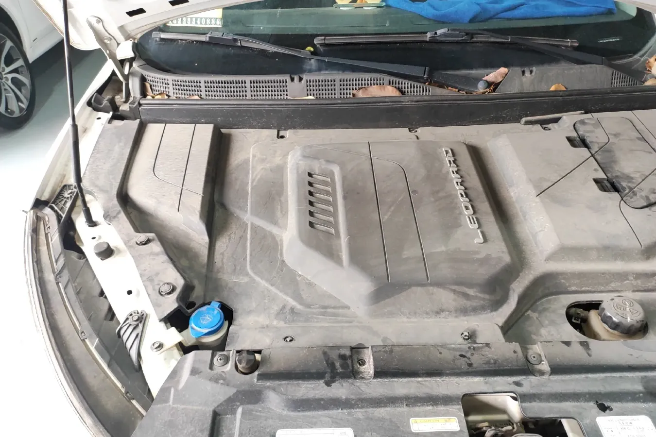 2018 Leopaard CS9 BEV 48.18KWH,autocango,china used car exporter,china ev exporter,chinese used car exporter,chinese used ev exporter