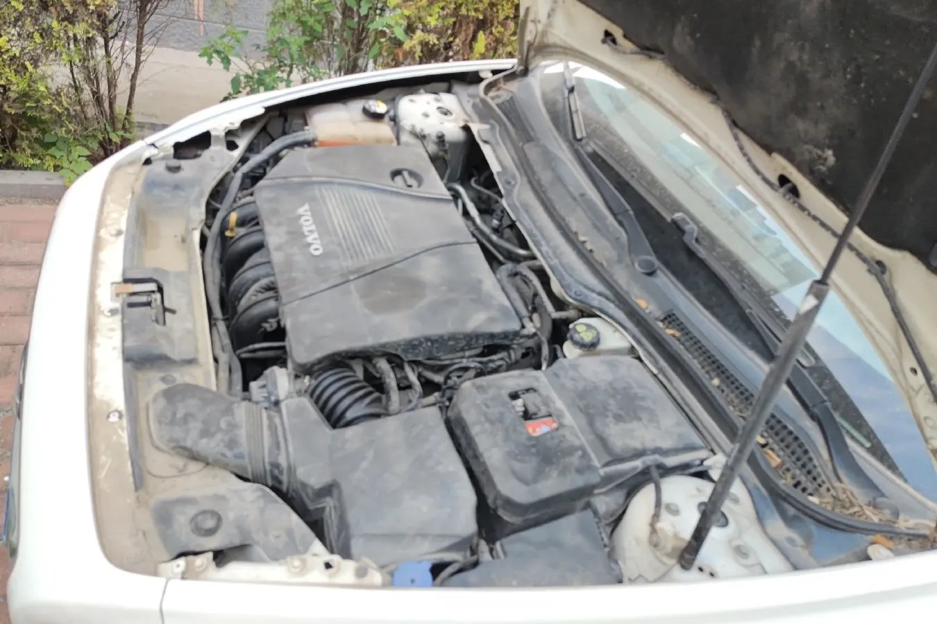 2011 Volvo S40 2.0L 141HP L4 6DCT,autocango,china used car exporter,china ev exporter,chinese used car exporter,chinese used ev exporter