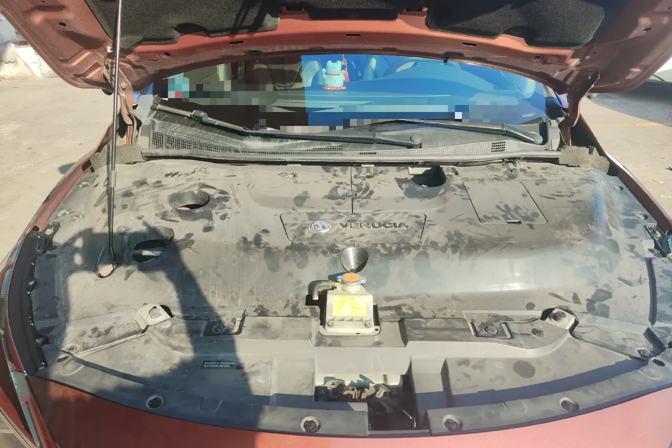 2019 Venucia D60 EV BEV 58KWH,autocango,china used car exporter,china ev exporter,chinese used car exporter,chinese used ev exporter