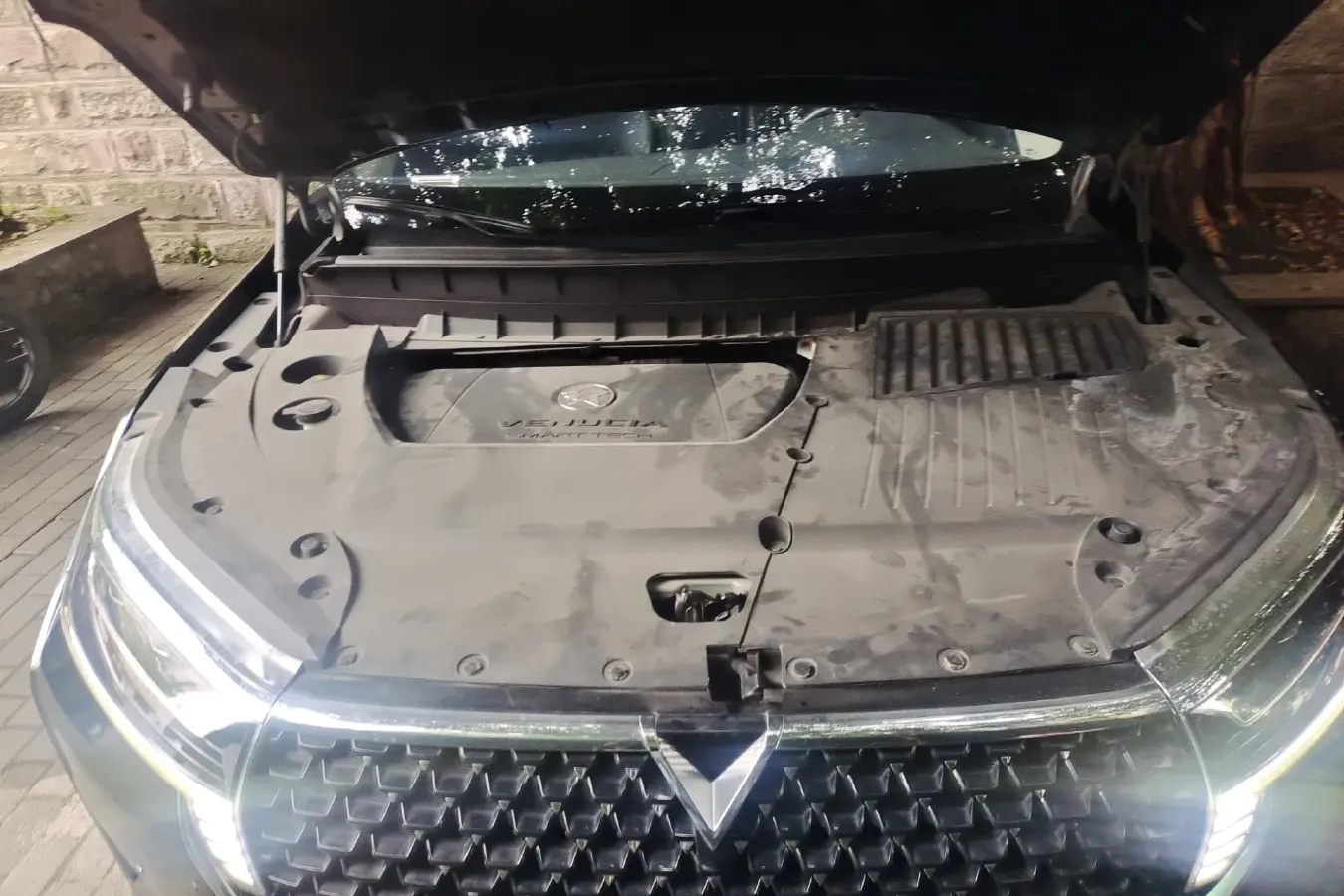 2021 Venucia Star 1.5T 190HP L4 7DCT,autocango,china used car exporter,china ev exporter,chinese used car exporter,chinese used ev exporter