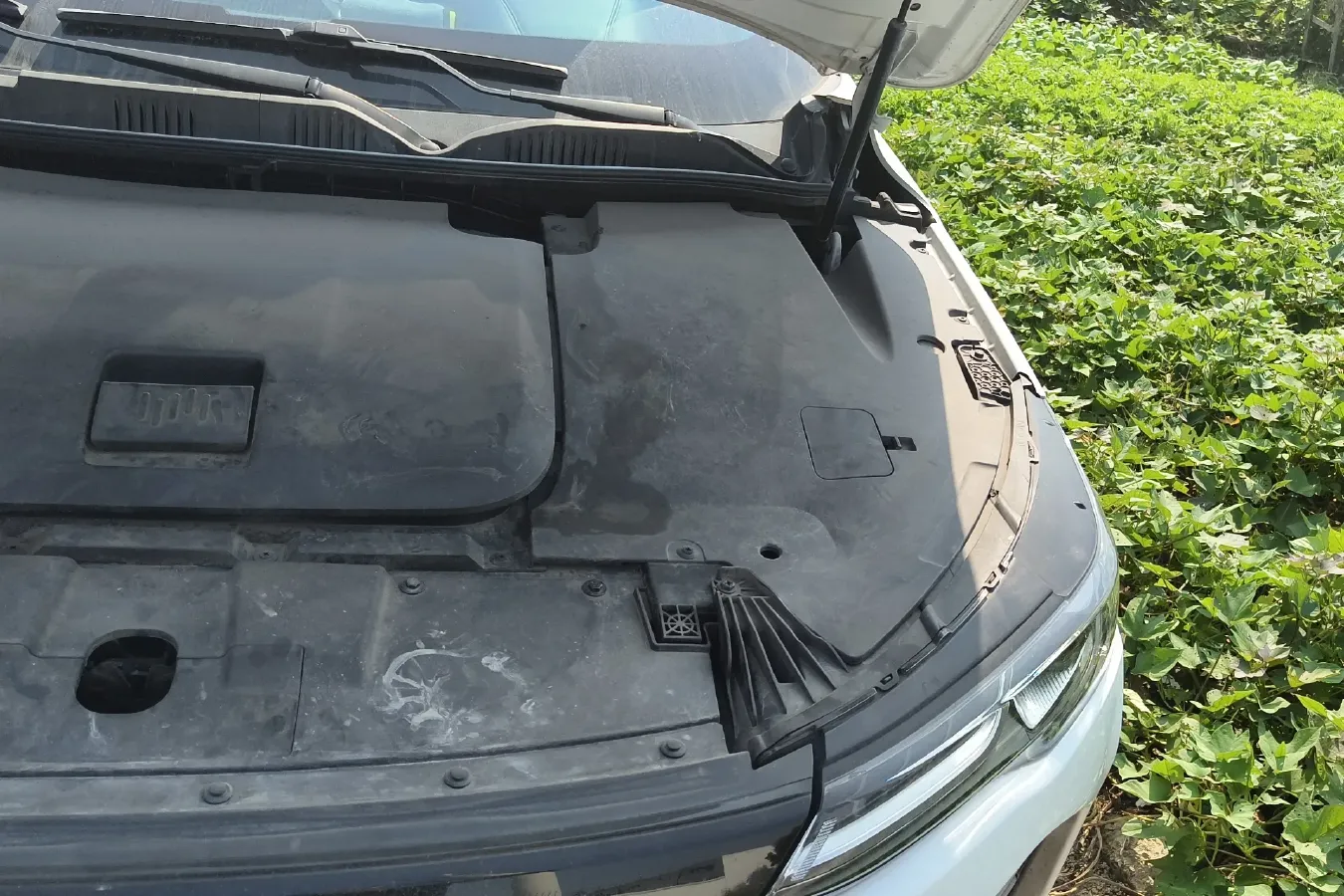 2020 Weltmeister EX6 BEV 69KWH,autocango,china used car exporter,china ev exporter,chinese used car exporter,chinese used ev exporter