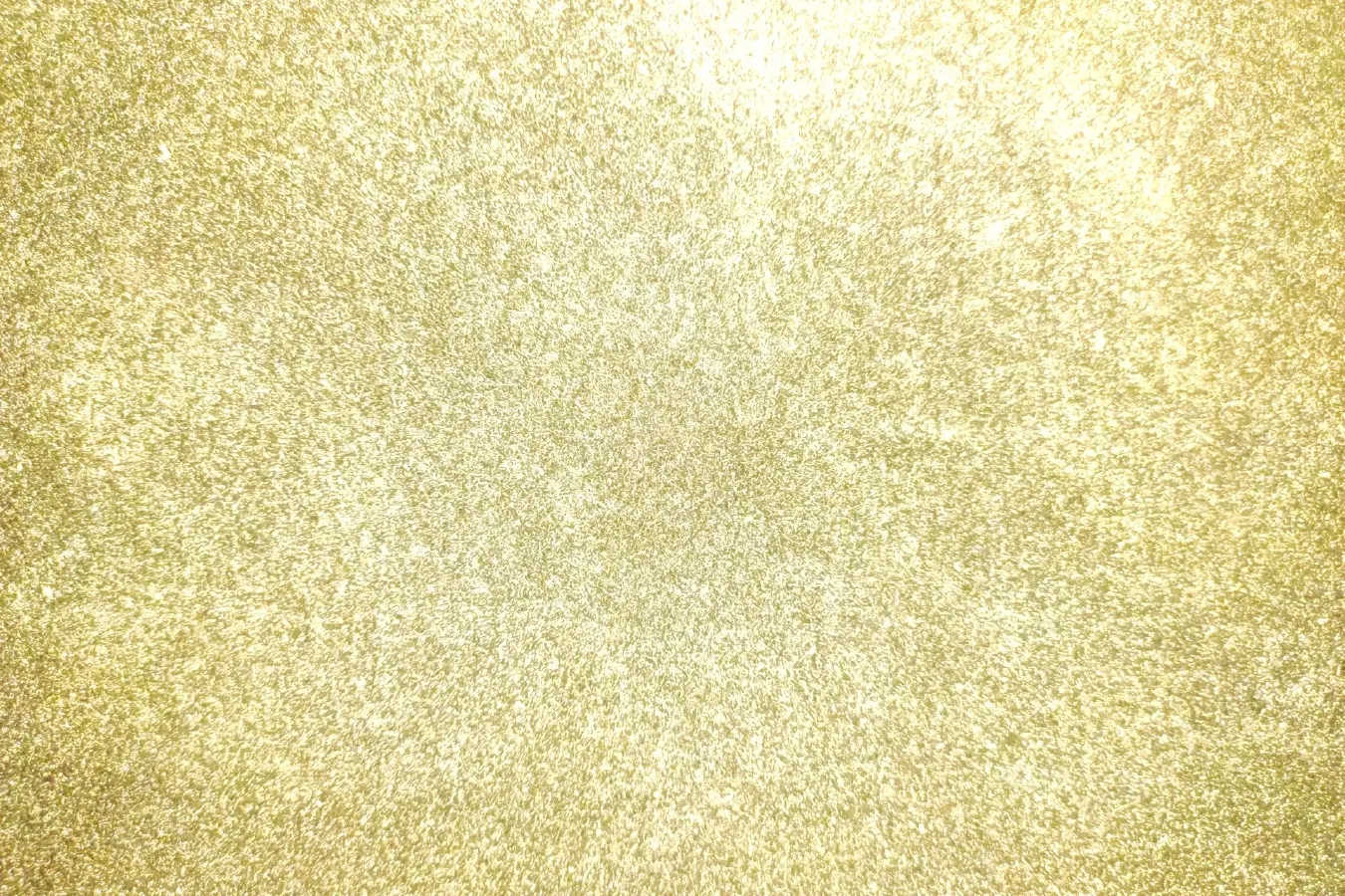 2021 EV House YOUNG BEV 38.54KWH,autocango,china used car exporter,china ev exporter,chinese used car exporter,chinese used ev exporter