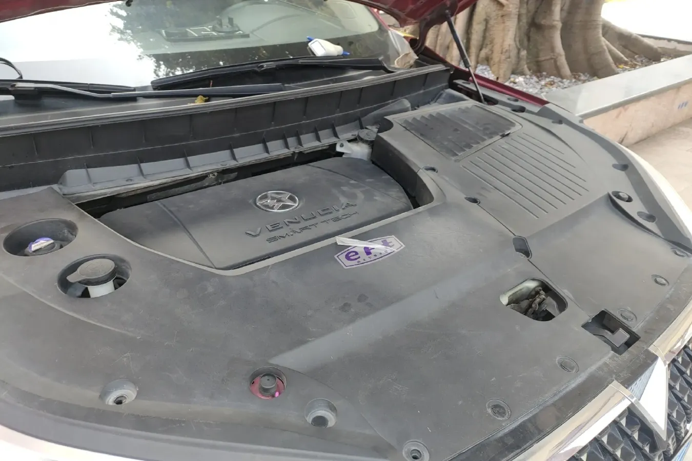 2020 Venucia Star 1.5T 190HP L4 7DCT,autocango,china used car exporter,china ev exporter,chinese used car exporter,chinese used ev exporter