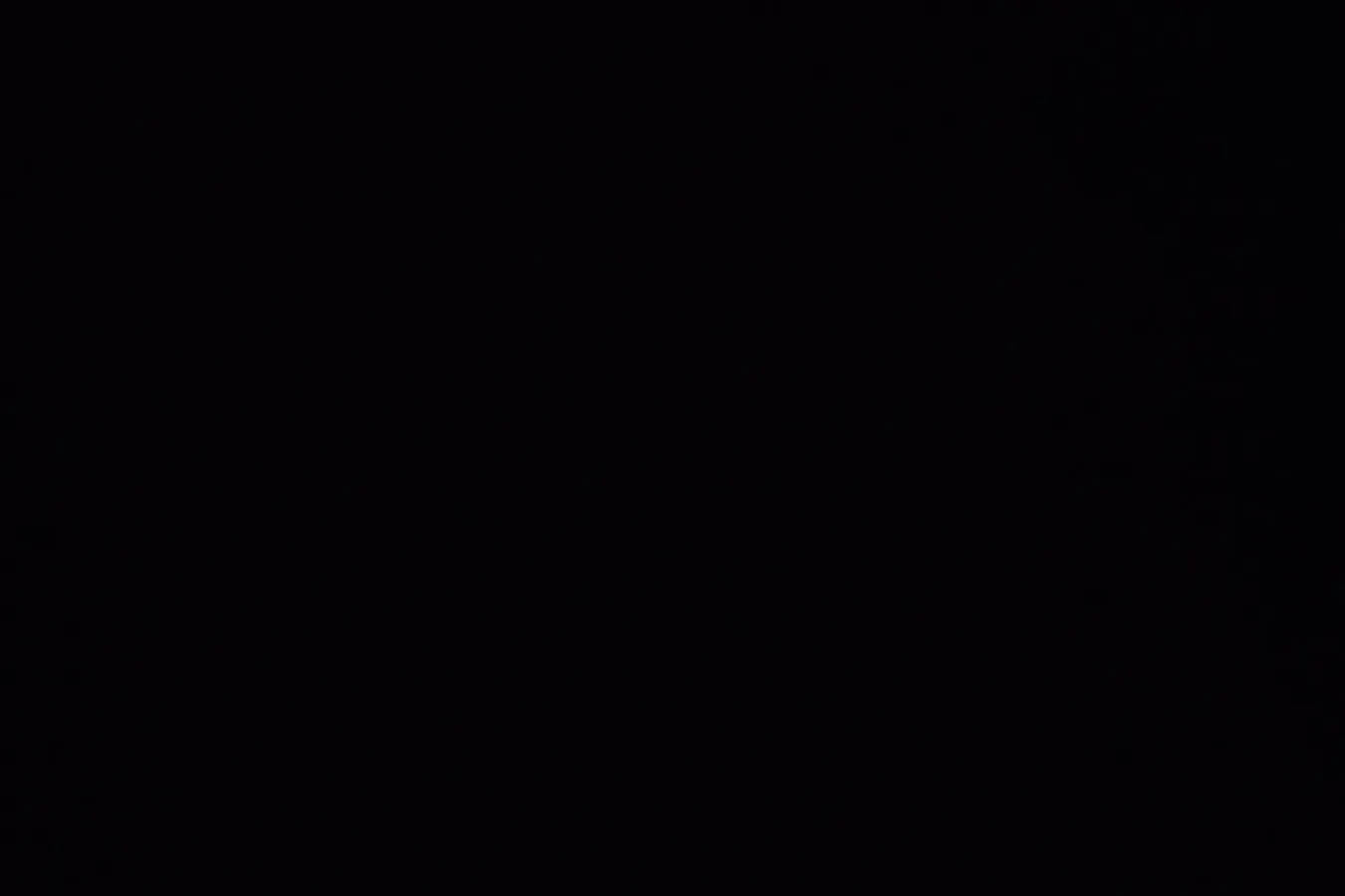 2011 FAW Senia M80 1.3L 91HP L4 5MT,autocango,china used car exporter,china ev exporter,chinese used car exporter,chinese used ev exporter