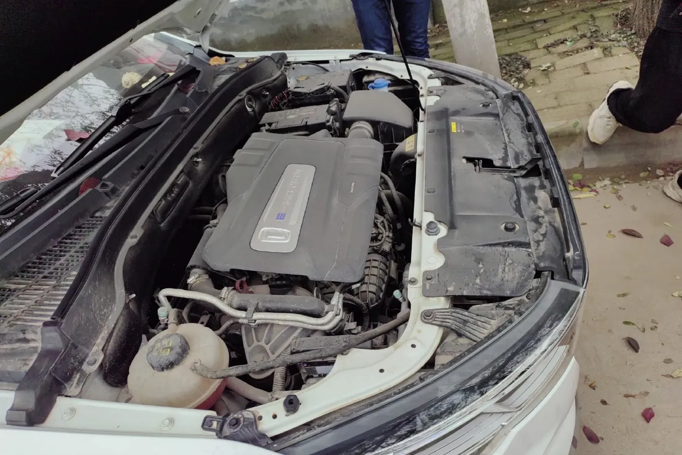 2021 Bestune T33 1.2T 143HP L4 7DCT,autocango,china used car exporter,china ev exporter,chinese used car exporter,chinese used ev exporter